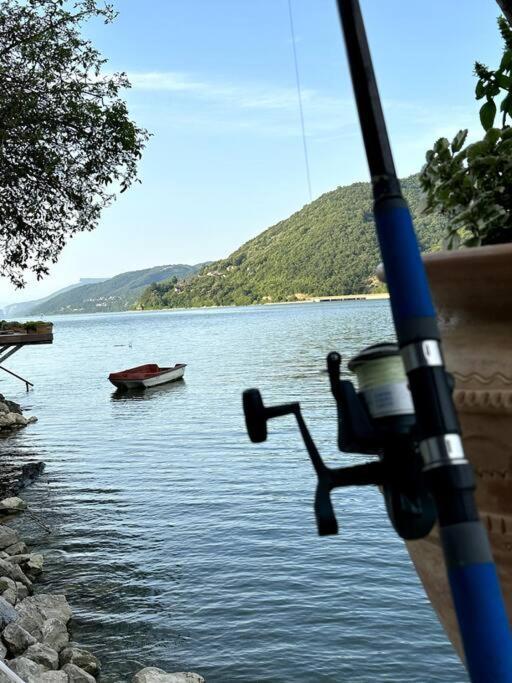 Dunavska Vila Milosavljevic Donji Milanovac Luaran gambar