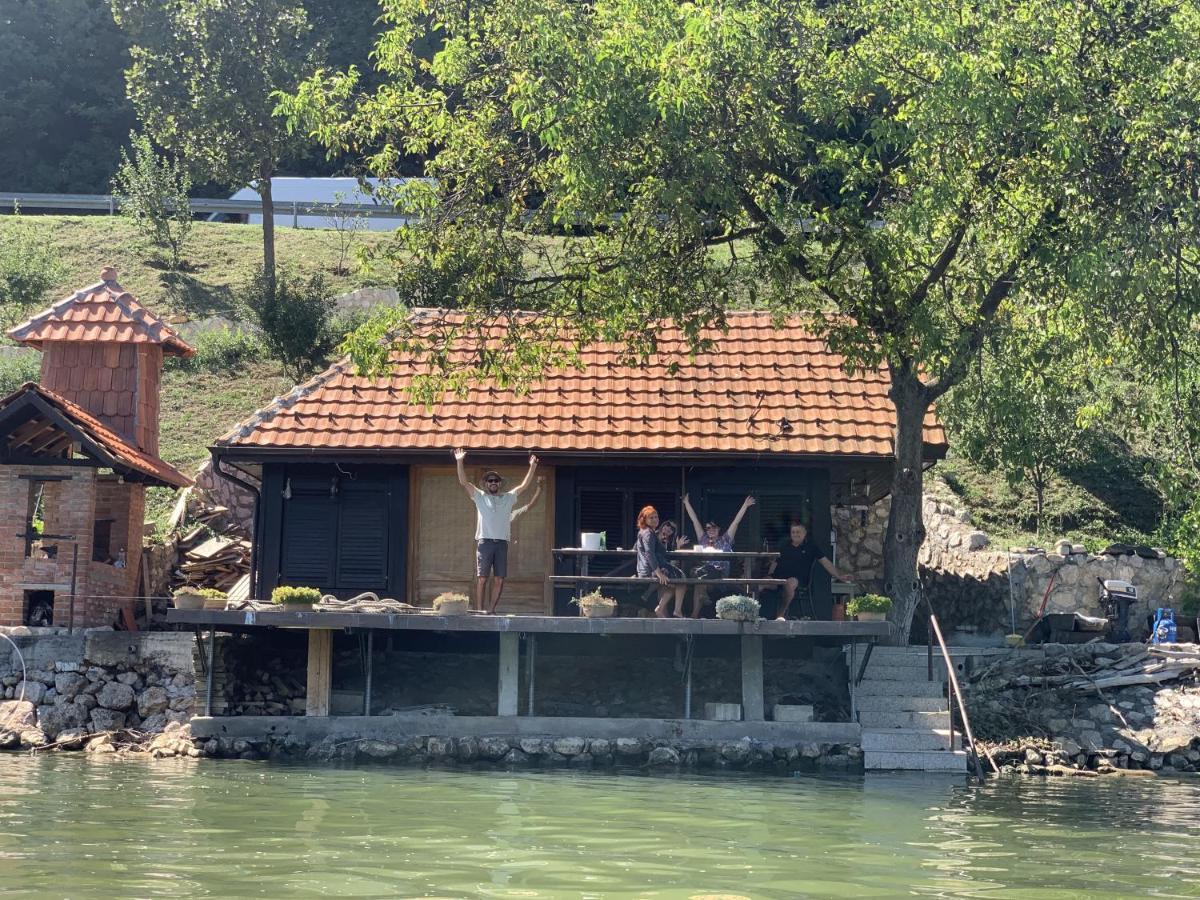 Dunavska Vila Milosavljevic Donji Milanovac Luaran gambar
